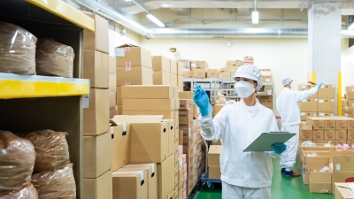 Vorratsschädlinge bekämpfen: Kornkäfer, Mehlmotten & Co.