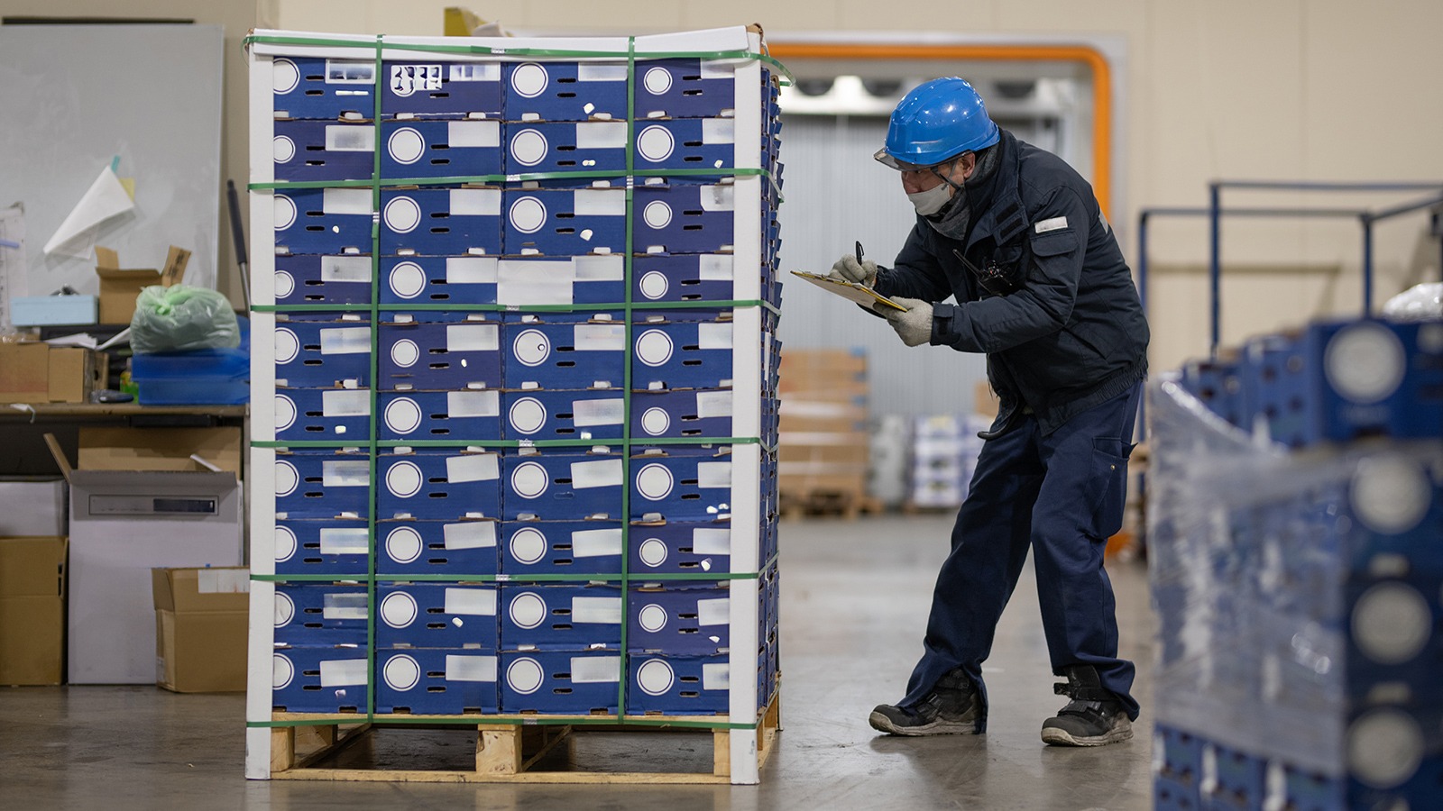 Arbeiter kontrolliert die Lebensmittellieferung nach Vorratsschädlingen