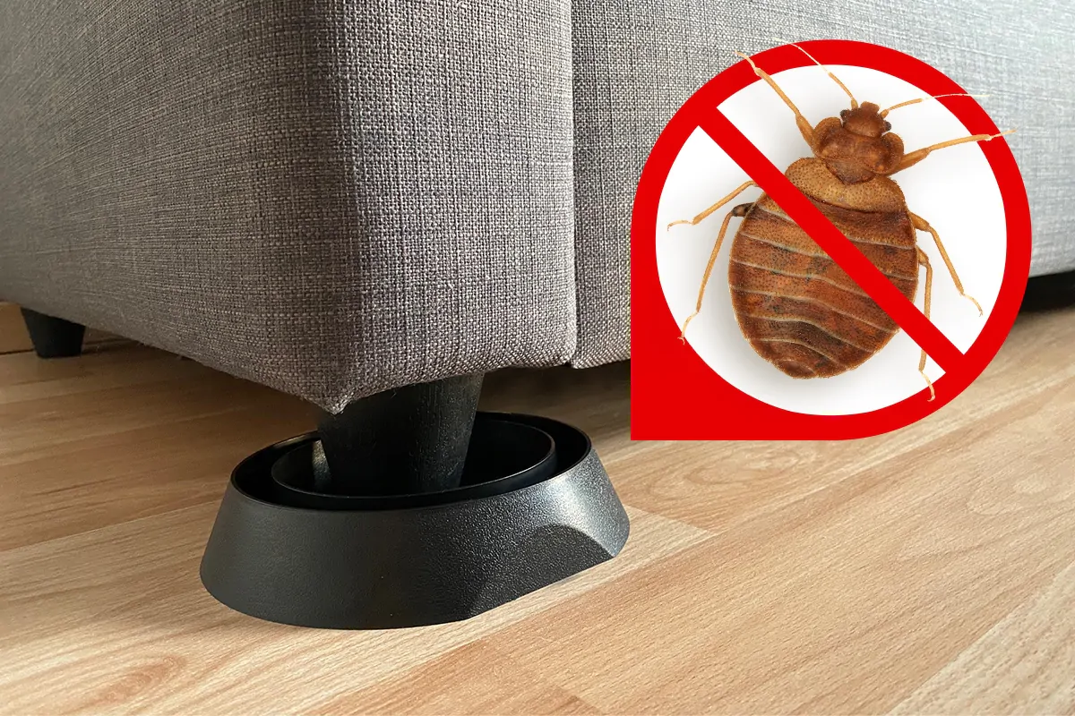 finicon® CLIMB-Stop: Die neue Bettwanzenfalle