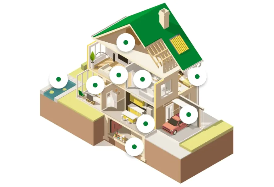 Schädlinge adé: Tipps für ein schädlingsfreies Zuhause