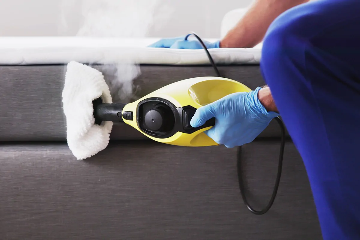 Professionelle Schädlingsbekämpfung gegen Bettwanzen mit Dampfgerät