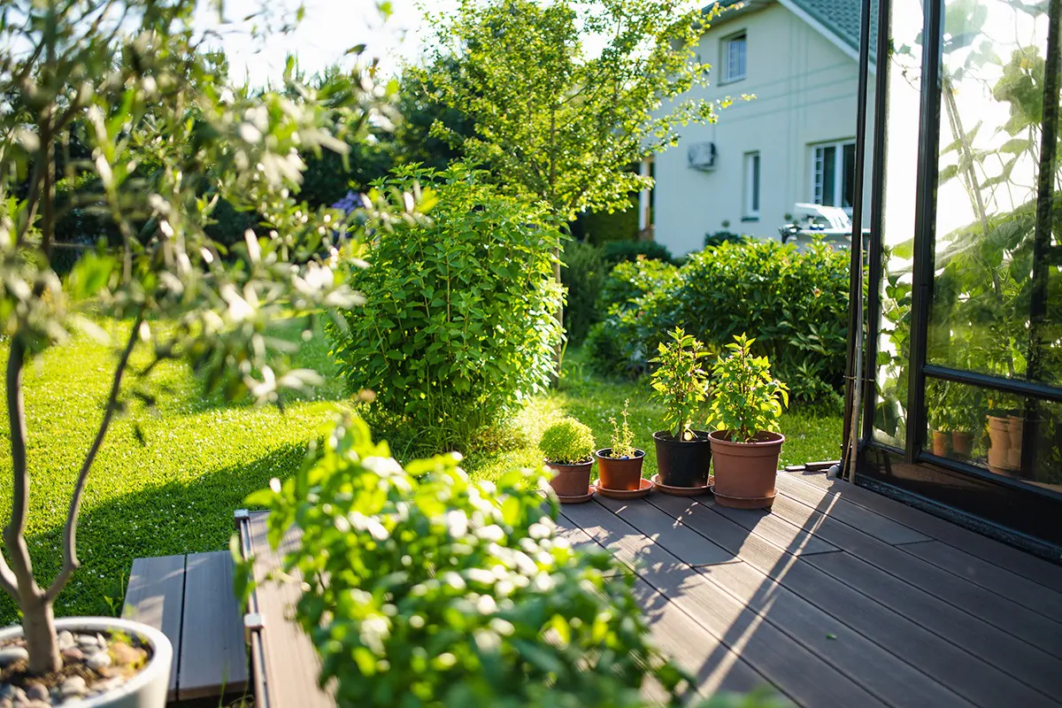 Garten mit Pflanzen auf der Terrasse und Gewächshaus